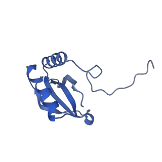 14385_7yyo_L_v1-2
Cryo-EM structure of an a-carboxysome RuBisCO enzyme at 2.9 A resolution