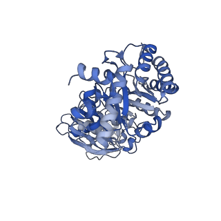 14385_7yyo_M_v1-2
Cryo-EM structure of an a-carboxysome RuBisCO enzyme at 2.9 A resolution