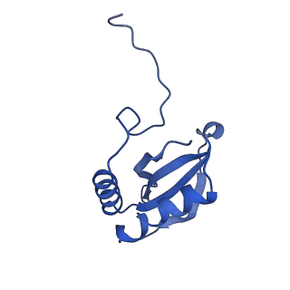 14385_7yyo_N_v1-2
Cryo-EM structure of an a-carboxysome RuBisCO enzyme at 2.9 A resolution