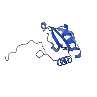 14385_7yyo_P_v1-2
Cryo-EM structure of an a-carboxysome RuBisCO enzyme at 2.9 A resolution