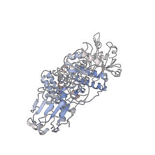 6859_5yys_B_v1-2
Cryo-EM structure of L-fucokinase, GDP-fucose pyrophosphorylase (FKP)in Bacteroides fragilis