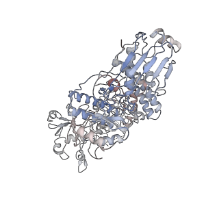 6859_5yys_C_v1-2
Cryo-EM structure of L-fucokinase, GDP-fucose pyrophosphorylase (FKP)in Bacteroides fragilis