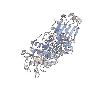 6859_5yys_C_v1-3
Cryo-EM structure of L-fucokinase, GDP-fucose pyrophosphorylase (FKP)in Bacteroides fragilis