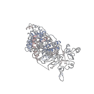 6859_5yys_D_v1-2
Cryo-EM structure of L-fucokinase, GDP-fucose pyrophosphorylase (FKP)in Bacteroides fragilis