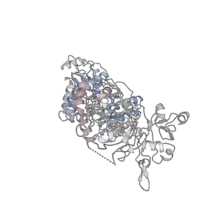 6859_5yys_D_v1-3
Cryo-EM structure of L-fucokinase, GDP-fucose pyrophosphorylase (FKP)in Bacteroides fragilis