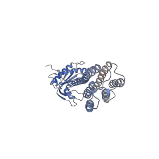 14388_7yzi_A_v1-0
Structure of Mycobacterium tuberculosis adenylyl cyclase Rv1625c / Cya