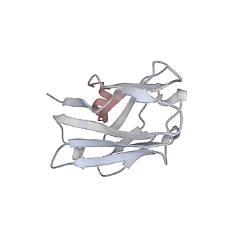 14388_7yzi_E_v1-0
Structure of Mycobacterium tuberculosis adenylyl cyclase Rv1625c / Cya