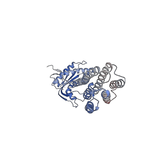 14389_7yzk_A_v1-0
Structure of Mycobacterium tuberculosis adenylyl cyclase Rv1625c / Cya