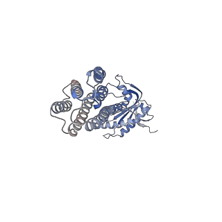 14389_7yzk_B_v1-0
Structure of Mycobacterium tuberculosis adenylyl cyclase Rv1625c / Cya