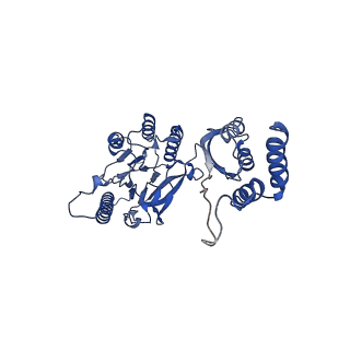 14391_7yzo_A_v1-3
Endonuclease state of the E. coli Mre11-Rad50 (SbcCD) head complex bound to ADP and dsDNA