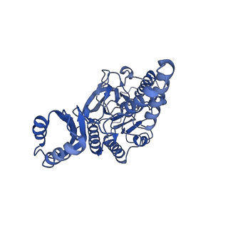 14391_7yzo_B_v1-3
Endonuclease state of the E. coli Mre11-Rad50 (SbcCD) head complex bound to ADP and dsDNA
