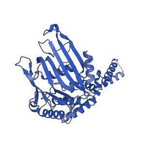 14391_7yzo_D_v1-3
Endonuclease state of the E. coli Mre11-Rad50 (SbcCD) head complex bound to ADP and dsDNA