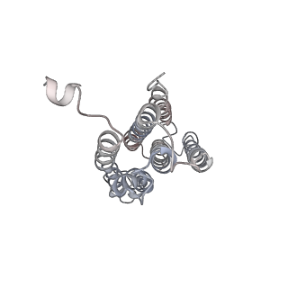 14399_7yzy_C_v1-1
pMMO structure from native membranes by cryoET and STA