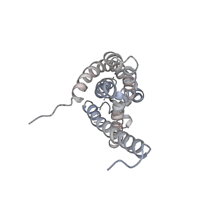 14399_7yzy_F_v1-1
pMMO structure from native membranes by cryoET and STA