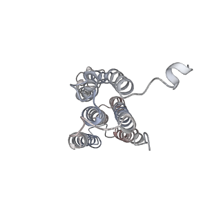 14399_7yzy_G_v1-1
pMMO structure from native membranes by cryoET and STA