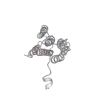 14399_7yzy_K_v1-1
pMMO structure from native membranes by cryoET and STA