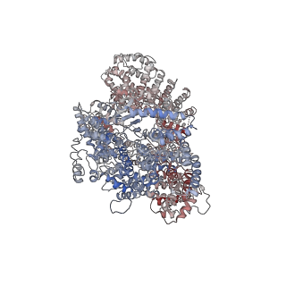 6862_5yz0_B_v1-2
Cryo-EM Structure of human ATR-ATRIP complex