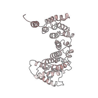 6862_5yz0_C_v1-2
Cryo-EM Structure of human ATR-ATRIP complex