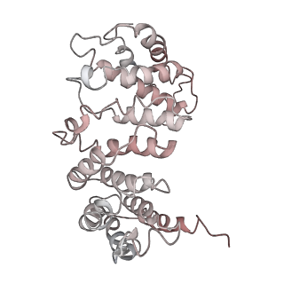 6862_5yz0_D_v1-2
Cryo-EM Structure of human ATR-ATRIP complex