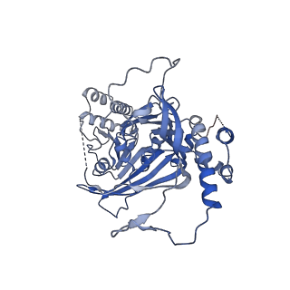 11023_6z0u_A_v1-3
CryoEM structure of the Chikungunya virus nsP1 complex