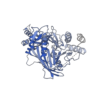 11023_6z0u_BA_v1-3
CryoEM structure of the Chikungunya virus nsP1 complex