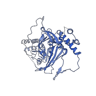 11023_6z0u_C_v1-3
CryoEM structure of the Chikungunya virus nsP1 complex