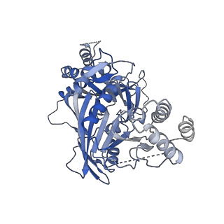 11023_6z0u_DA_v1-3
CryoEM structure of the Chikungunya virus nsP1 complex