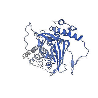 11023_6z0u_E_v1-3
CryoEM structure of the Chikungunya virus nsP1 complex