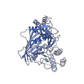 11023_6z0u_FA_v1-3
CryoEM structure of the Chikungunya virus nsP1 complex