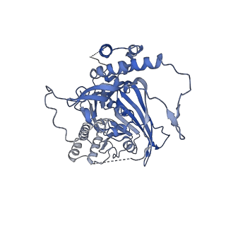 11023_6z0u_G_v1-3
CryoEM structure of the Chikungunya virus nsP1 complex