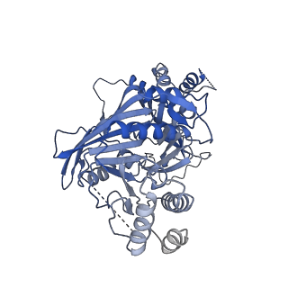 11023_6z0u_HA_v1-3
CryoEM structure of the Chikungunya virus nsP1 complex