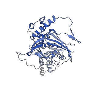 11023_6z0u_I_v1-3
CryoEM structure of the Chikungunya virus nsP1 complex