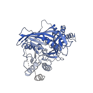 11023_6z0u_JA_v1-3
CryoEM structure of the Chikungunya virus nsP1 complex