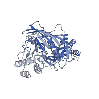 11023_6z0u_LA_v1-3
CryoEM structure of the Chikungunya virus nsP1 complex