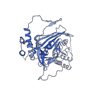 11023_6z0u_M_v1-3
CryoEM structure of the Chikungunya virus nsP1 complex