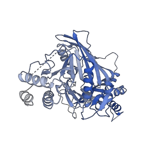 11023_6z0u_NA_v1-3
CryoEM structure of the Chikungunya virus nsP1 complex