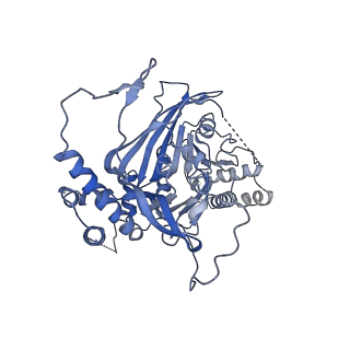 11023_6z0u_O_v1-3
CryoEM structure of the Chikungunya virus nsP1 complex