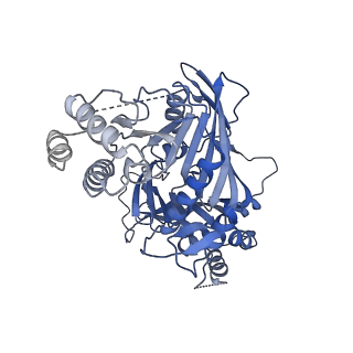 11023_6z0u_PA_v1-3
CryoEM structure of the Chikungunya virus nsP1 complex