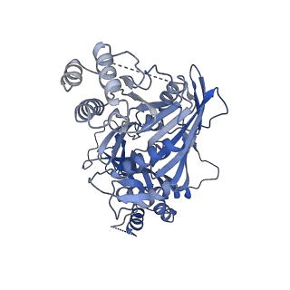 11023_6z0u_RA_v1-3
CryoEM structure of the Chikungunya virus nsP1 complex