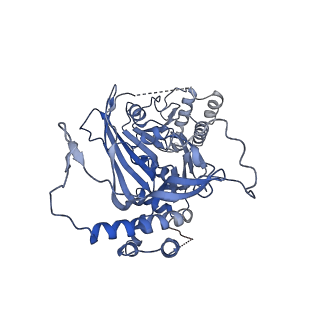 11023_6z0u_S_v1-3
CryoEM structure of the Chikungunya virus nsP1 complex