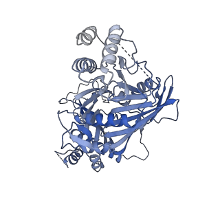 11023_6z0u_TA_v1-3
CryoEM structure of the Chikungunya virus nsP1 complex