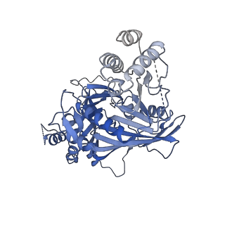 11023_6z0u_VA_v1-3
CryoEM structure of the Chikungunya virus nsP1 complex