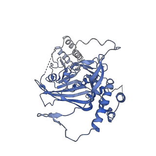 11023_6z0u_X_v1-3
CryoEM structure of the Chikungunya virus nsP1 complex