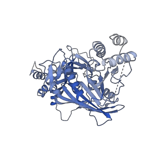 11023_6z0u_Z_v1-3
CryoEM structure of the Chikungunya virus nsP1 complex