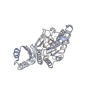 14403_7z03_B_v1-3
Endonuclease state of the E. coli Mre11-Rad50 (SbcCD) head complex bound to ADP and extended dsDNA