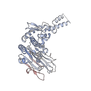 14403_7z03_C_v1-3
Endonuclease state of the E. coli Mre11-Rad50 (SbcCD) head complex bound to ADP and extended dsDNA