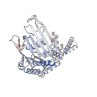 14403_7z03_D_v1-3
Endonuclease state of the E. coli Mre11-Rad50 (SbcCD) head complex bound to ADP and extended dsDNA