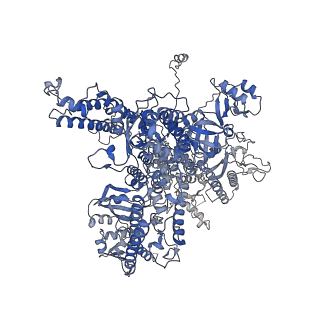 14421_7z0h_A_v1-0
Structure of yeast RNA Polymerase III-Ty1 integrase complex at 2.6 A (focus subunit AC40).