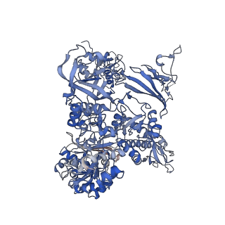 14421_7z0h_B_v1-0
Structure of yeast RNA Polymerase III-Ty1 integrase complex at 2.6 A (focus subunit AC40).