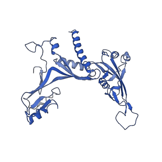 14421_7z0h_C_v1-0
Structure of yeast RNA Polymerase III-Ty1 integrase complex at 2.6 A (focus subunit AC40).